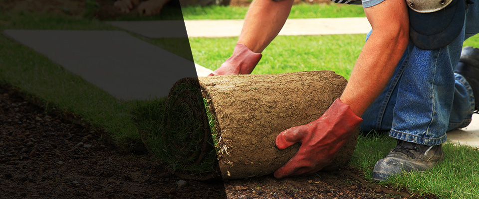 Norwood Landscapers